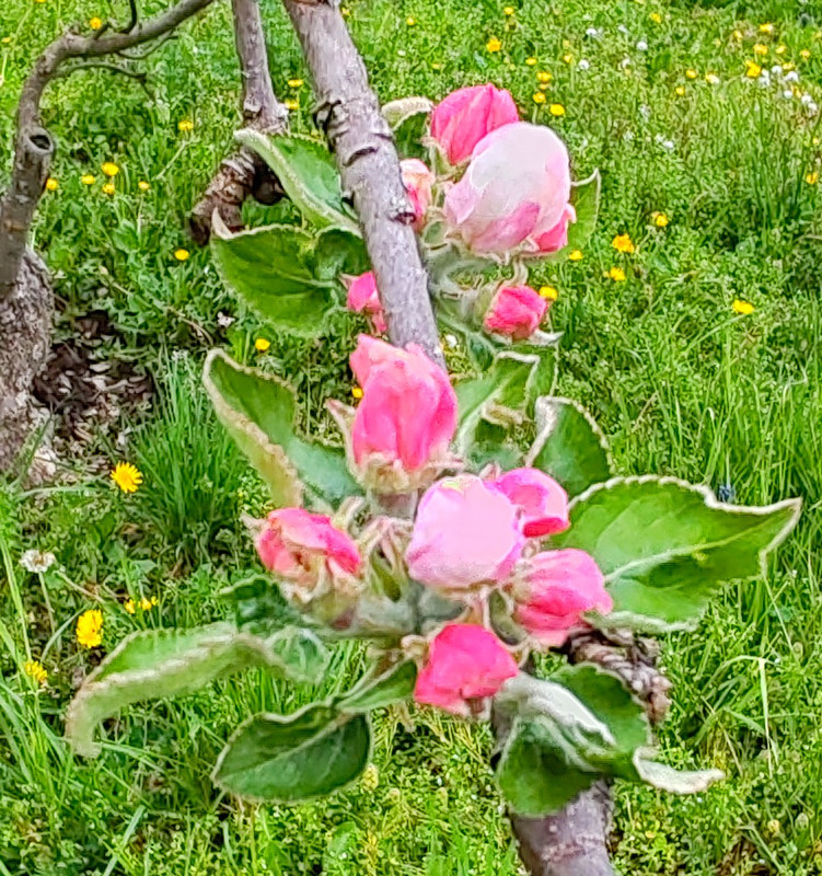 IMG 20260413 191618bbb