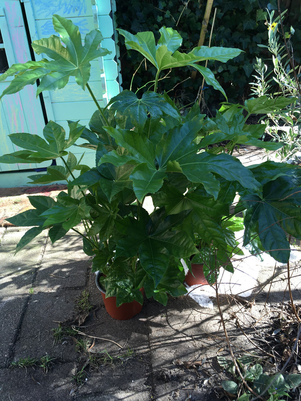 AB192D3C-1EEE-4250-A1C0-35CC3692E4B7