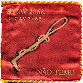 CCav2485