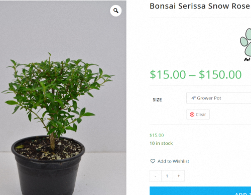 [Image: 2024-09-23-084920.png ]