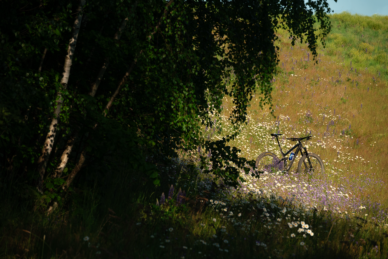DSC-3602m.png
