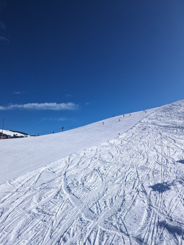 PXL_20240225_103606359.MP