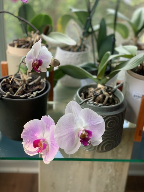 [Image: IMG-6433.jpg]