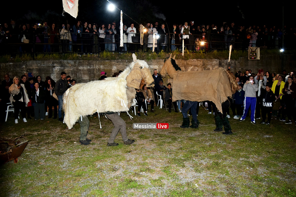 ελαιοχωριDSC_0663