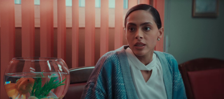 vlcsnap-2024-01-18-21h56m01s840