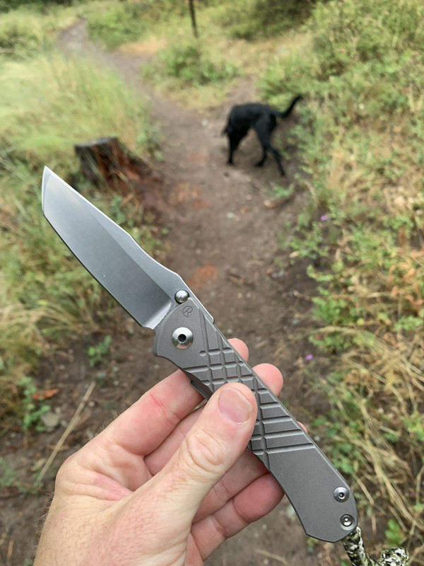 C7DFE26E-9F72-4AAF-AD35-FE9D4A29983C