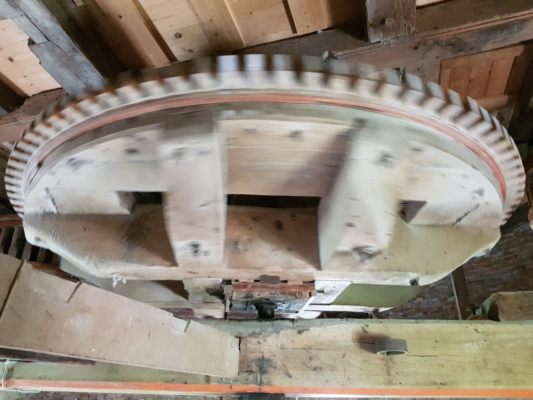 Pieter, De Korenhalm 37 's-Gravenpolder 14-06-2019