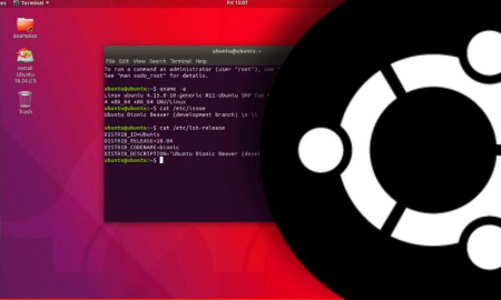 Linux Shell Commands for Absolute Beginners using Ubuntu 20x Linux Shell Commands for Absolute Beginners using Ubuntu 20x