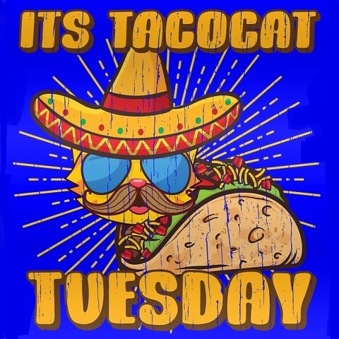 Taco-Cat-Tuesday