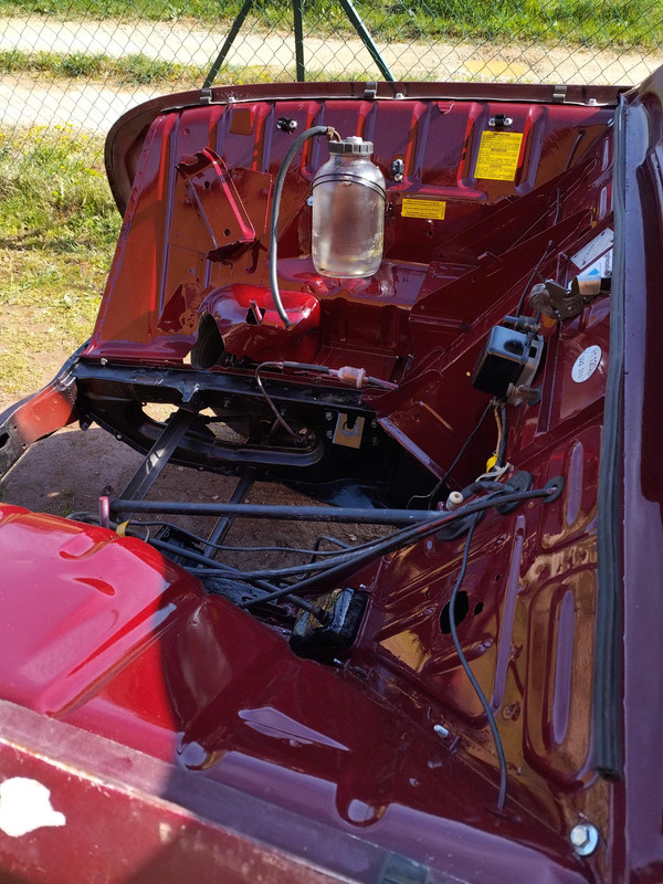 IMG_20250302_134113843 (1)