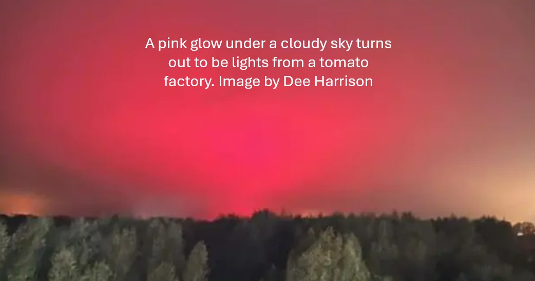 The pink glow from a tomato factory