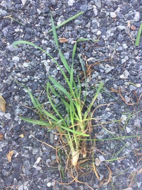 30AD8E10-18A9-43BE-BA1F-522C891EBD84