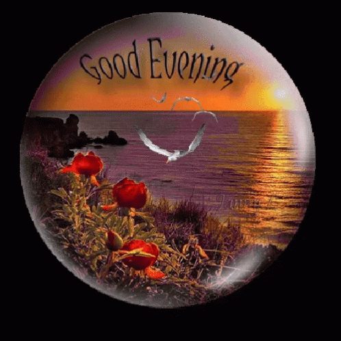 44-good-evening