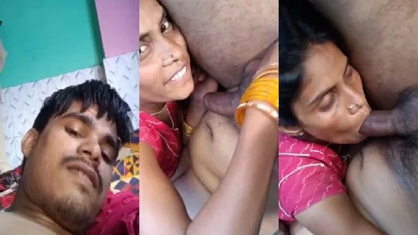 gory porn Sister-in-law is sucking her young brother-in-law’s penis