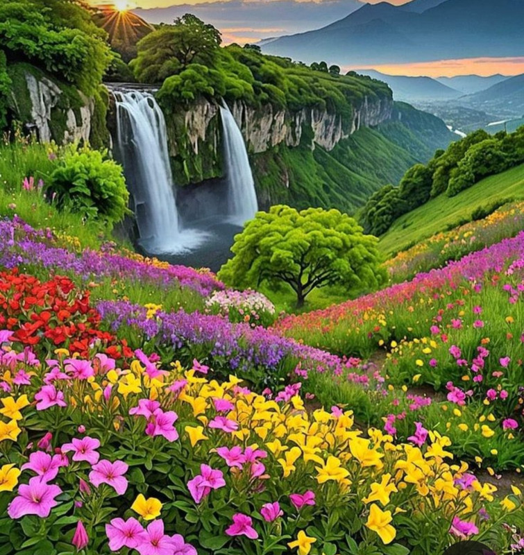 Screenshot_20240521_195656_Pinterest