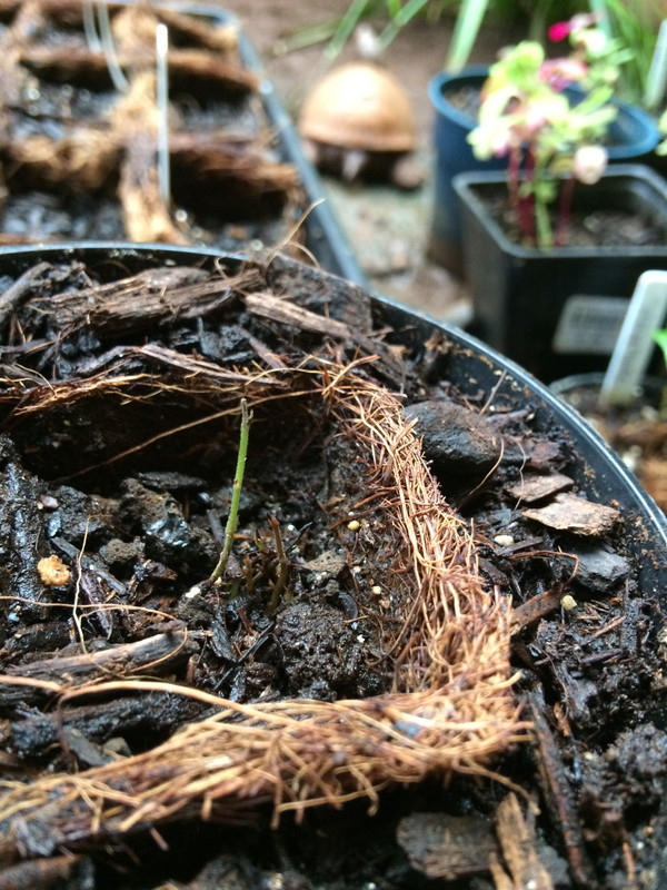 FC364B5D-99AE-4CCD-A43E-9A0F13CD247A