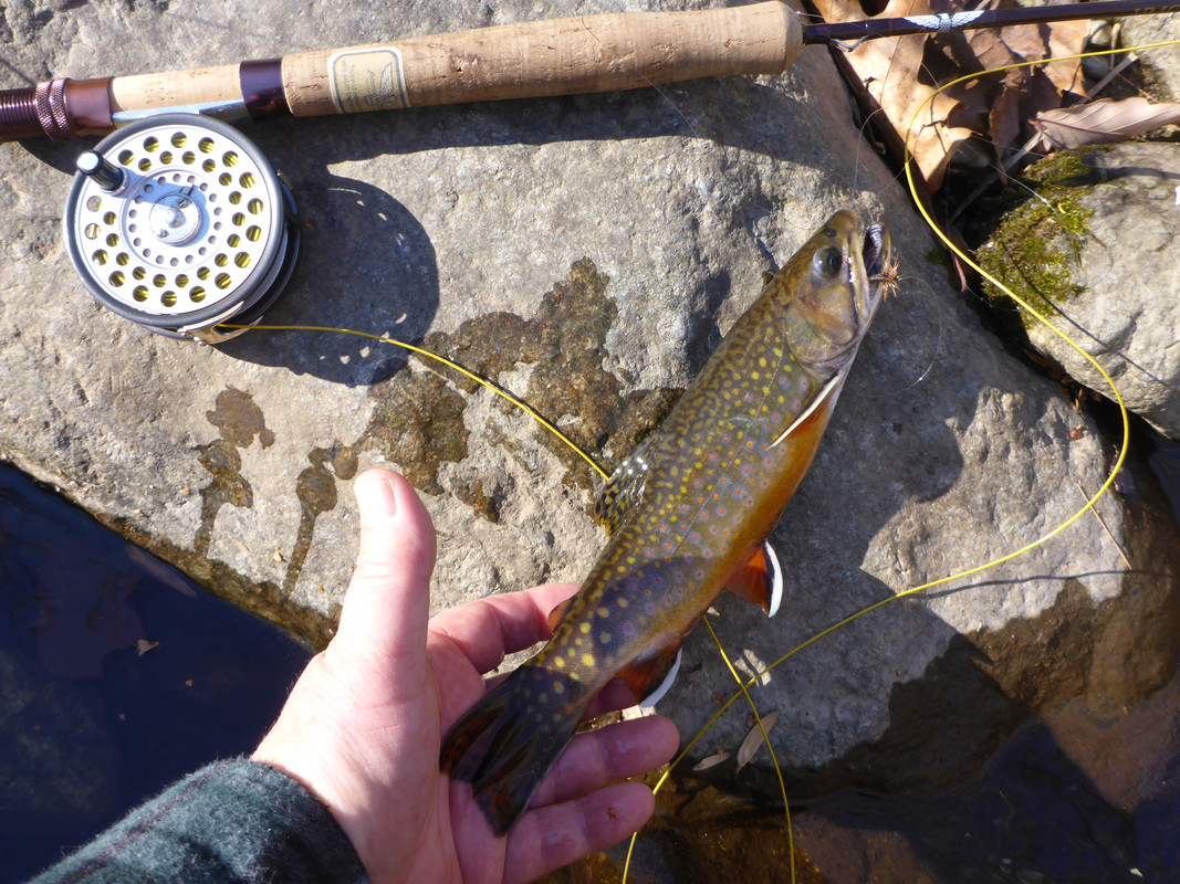 Blue Ridge Bamboo Gathering May 10-12, 2024 - The Classic Fly Rod Forum