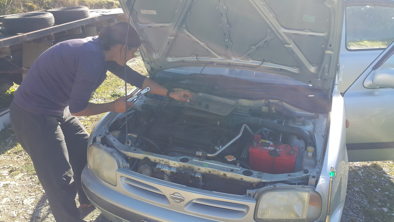 20210601_124153 (Large)