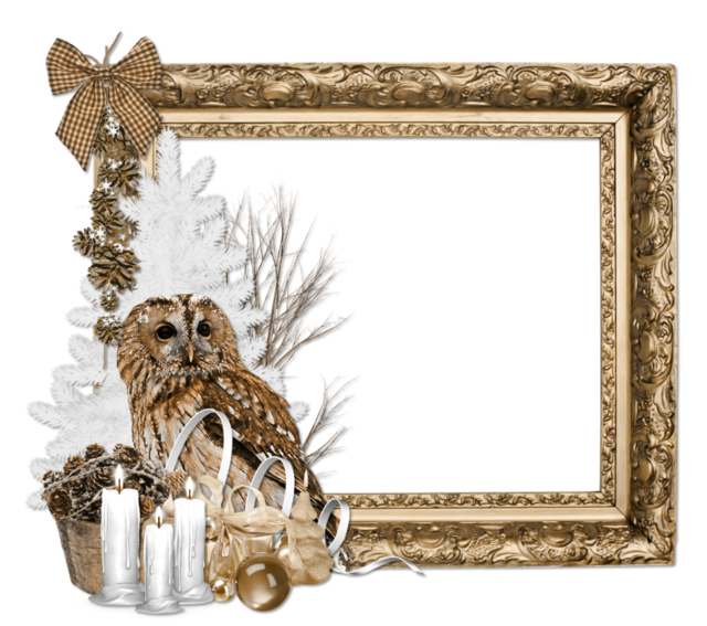 beautiful_reindeer_40