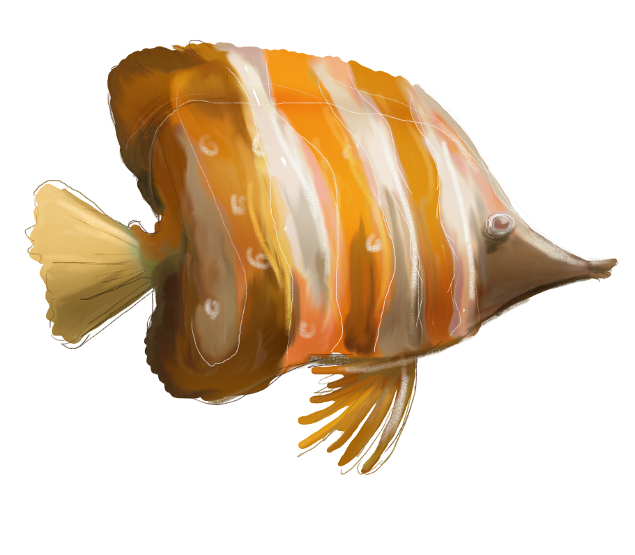 BIBI-UNDER THE SEA  ELEMS (60)