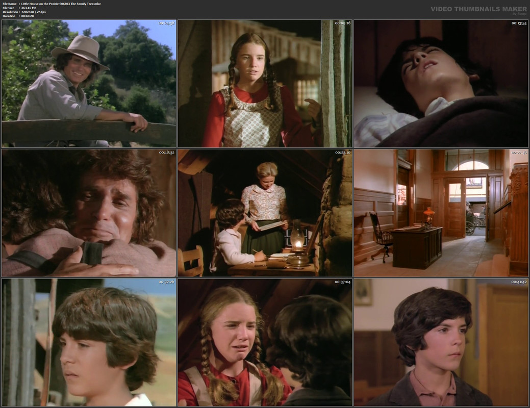 Little House on the Prairie S06E03 The Family Tree.mkv