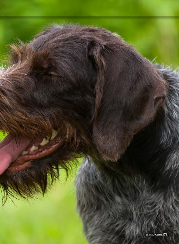 Il M C Dic 2021 (10)