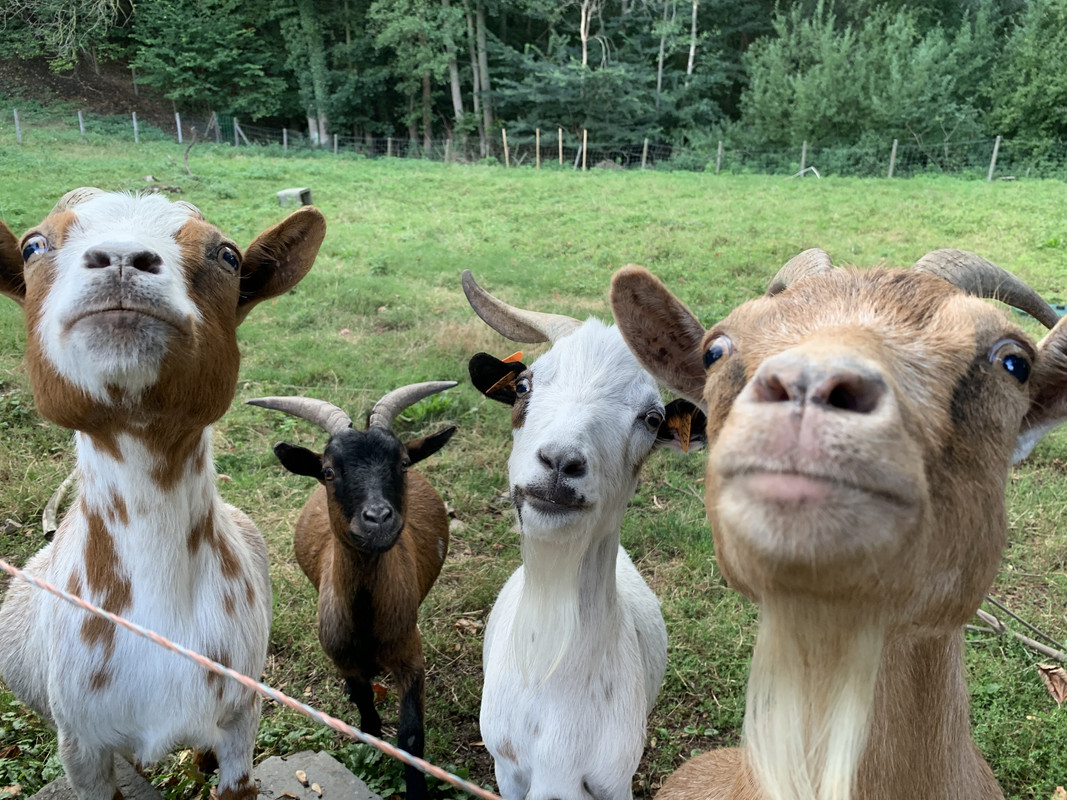 6E25BE28-F0B2-48F8-86AE-2725DBFD7A50