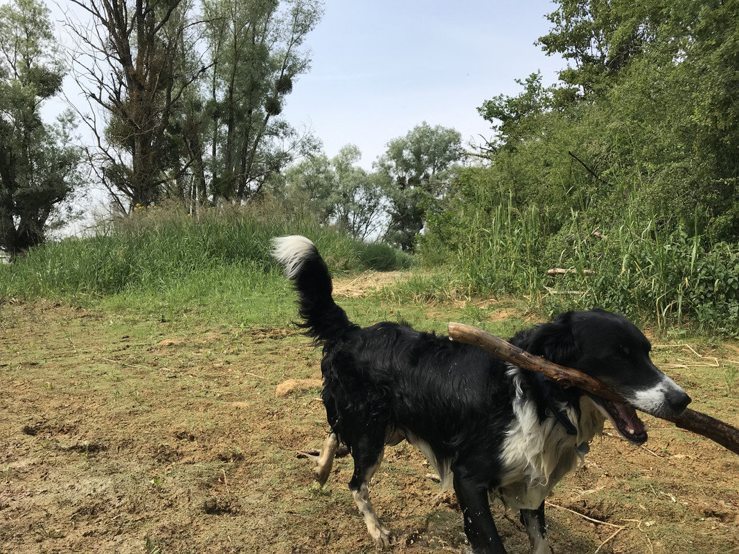 957E08B4-91FD-4D22-B670-4A701CE3D21A