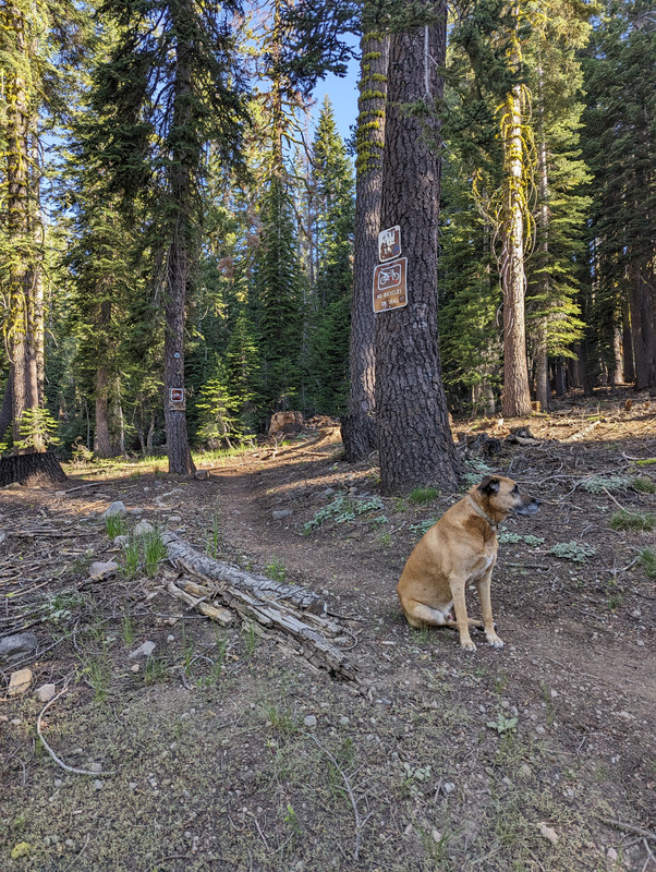 PXL_20250710_151152291