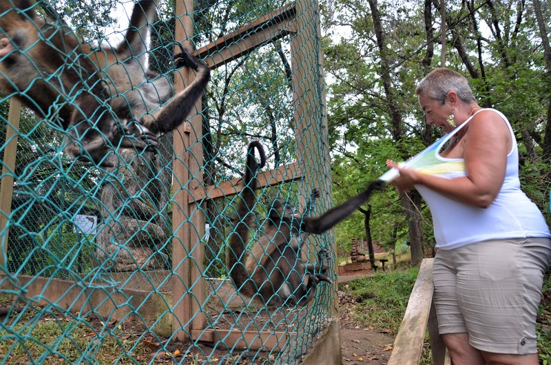 ISLA DE ROATAN-13-9-2017-HONDURAS - Crucero caribeño con MSC OPERA-Septiembre-2017 (42)
