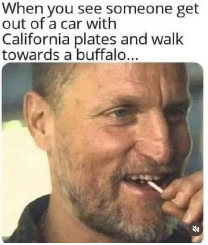 Screenshot 2026 07 15 at 05 42 53 Post a MEME Thread Page 5865 Yellow Bullet Forums