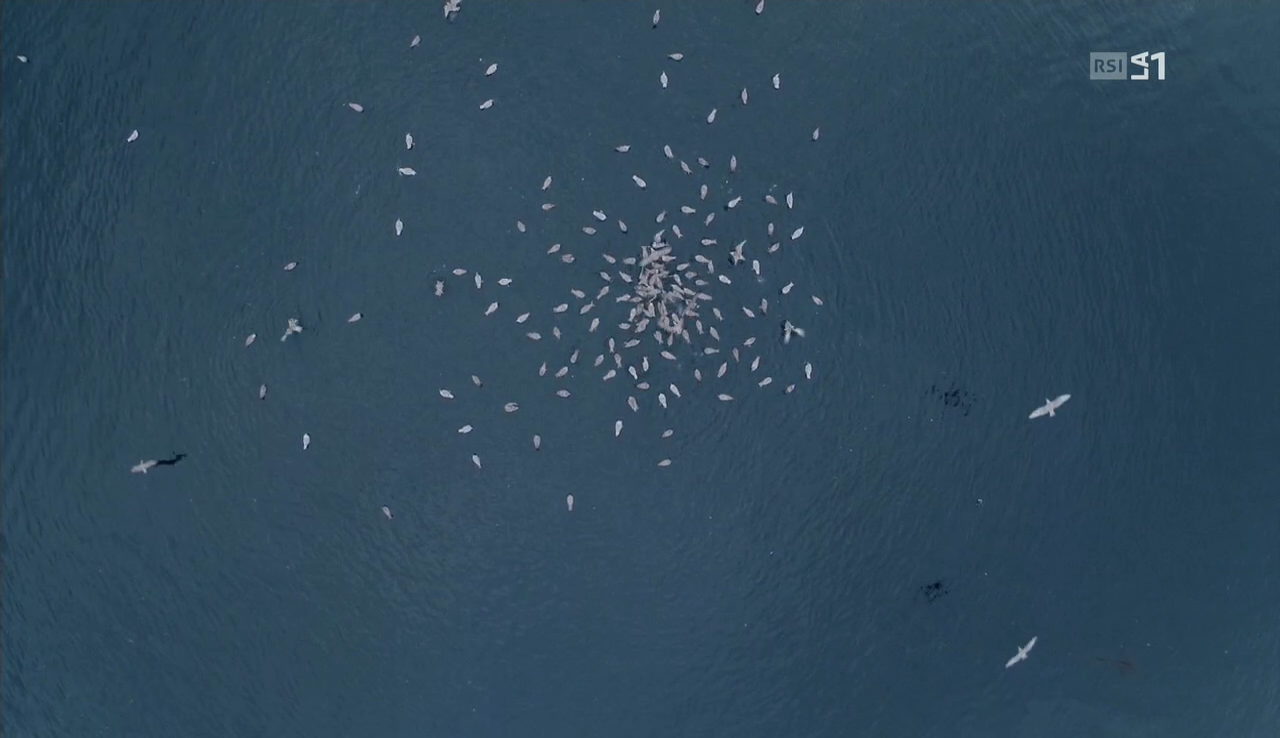 vlcsnap-2016-11-01-09h31m51s297