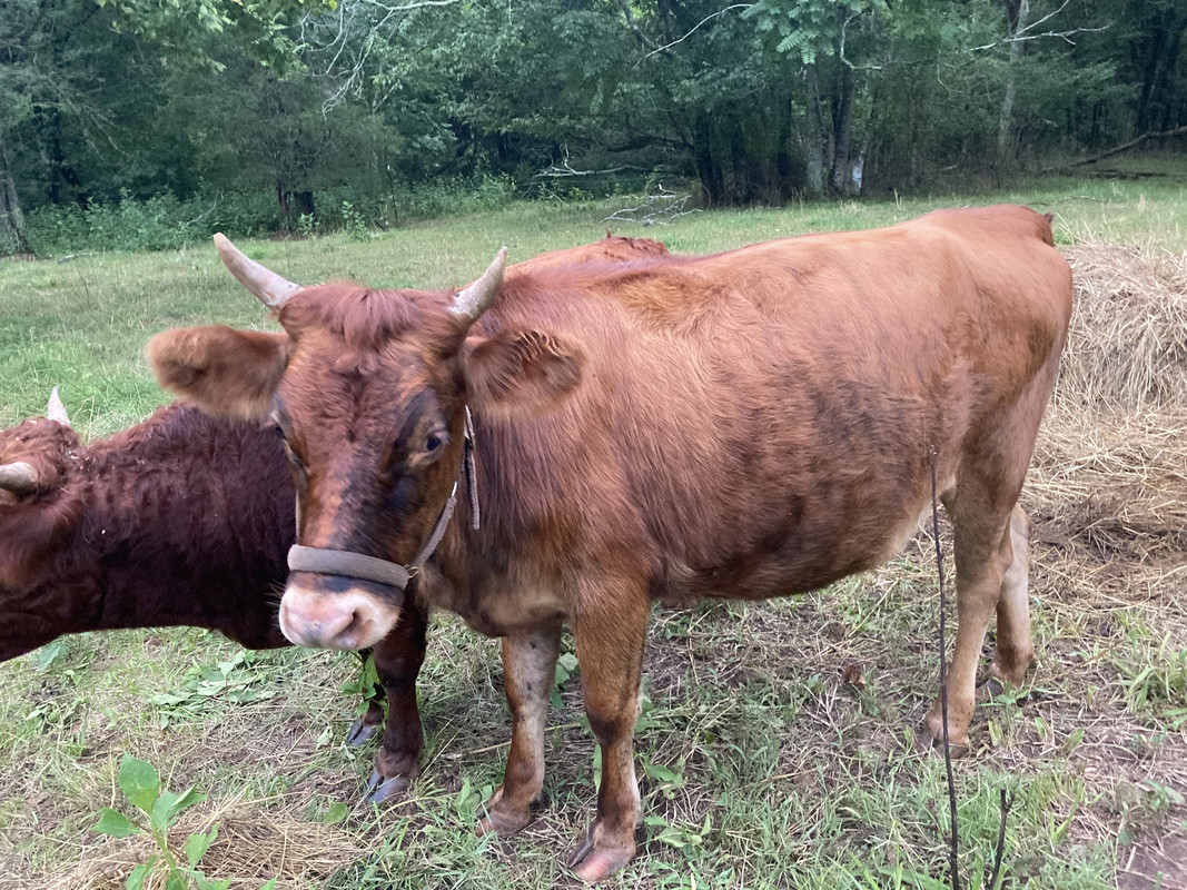 7BCAB6F3-0394-49EA-B96C-FA8FFB873FE9