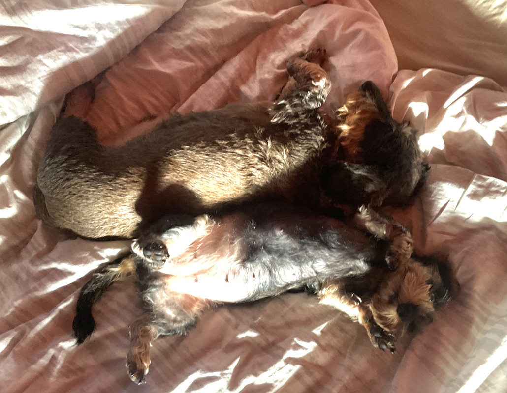 [Image: IMG-0854.jpg]