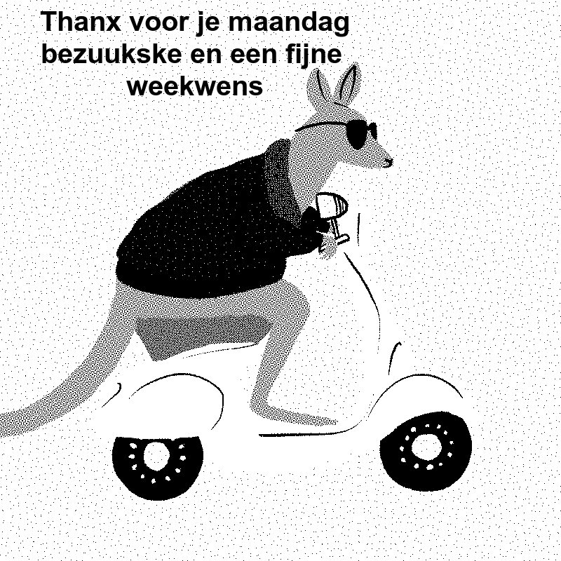 Welkom bij gekkemeid2