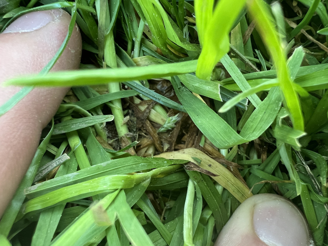 99F23CF2-9CA8-41CA-AFBE-AE57E6D9485F