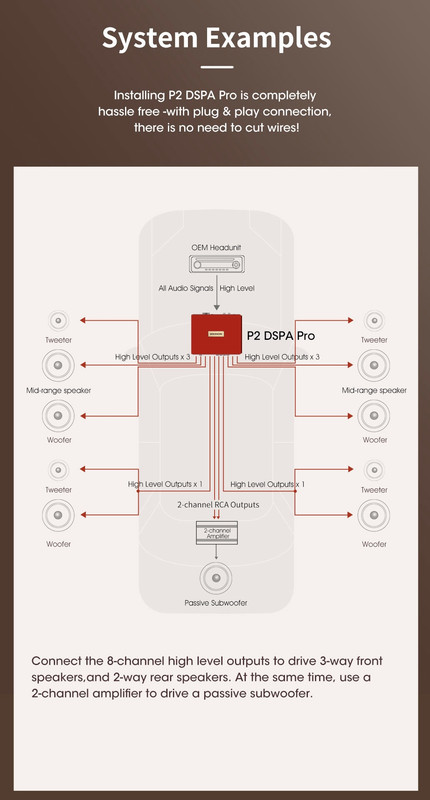 Goldhorn P2 DSPA Pro System Example
