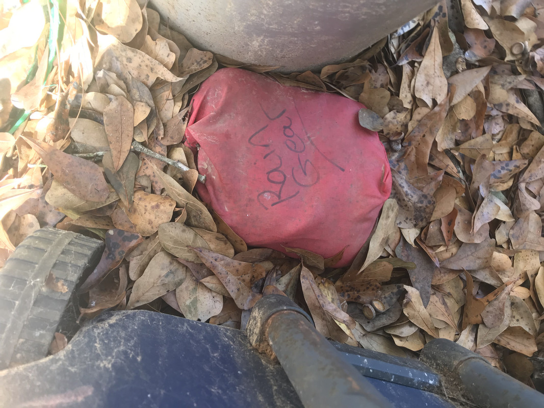 7185F8F4-4F6C-40FD-8522-35E4EDCDA0DF