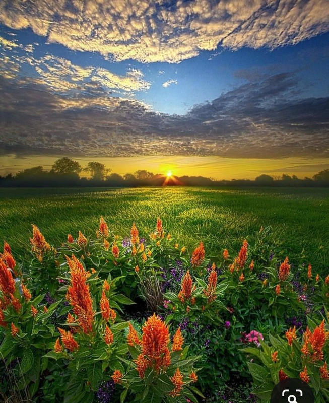 Screenshot_20240328_201408_Pinterest