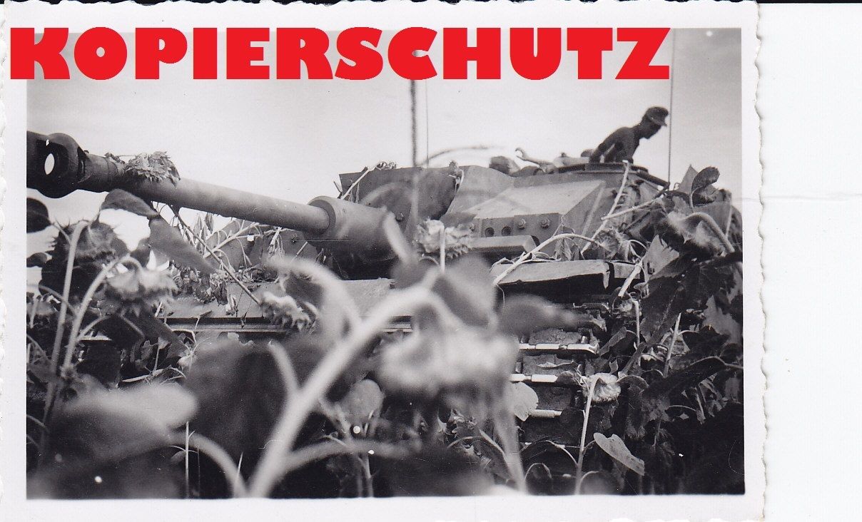 Sturmgeschütz STUG III Langrohr getarnt im Sonne