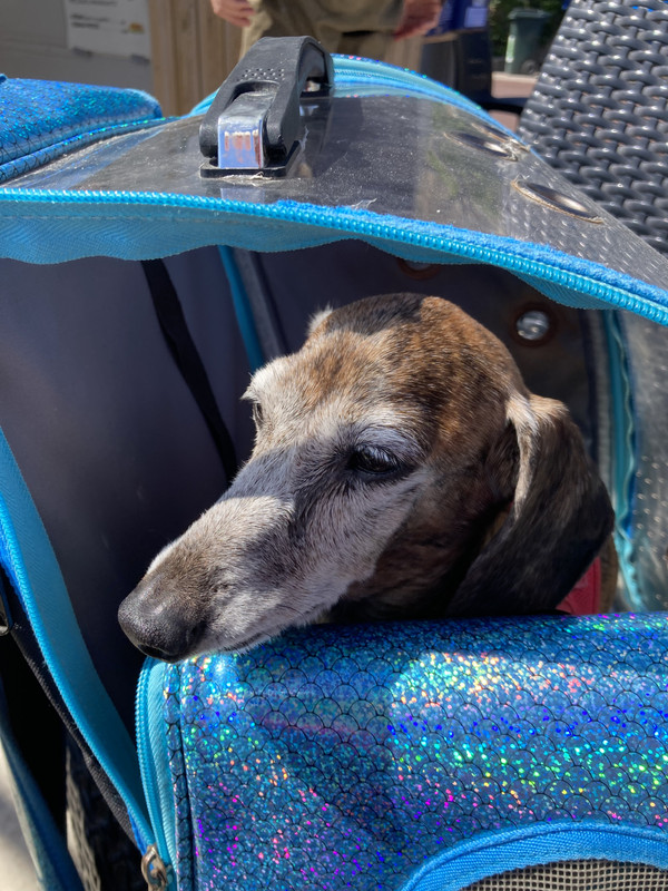 [Image: 71-CF9-F73-C9-EC-4-BFD-B0-CD-5-B3-F43-BFBB12.jpg]