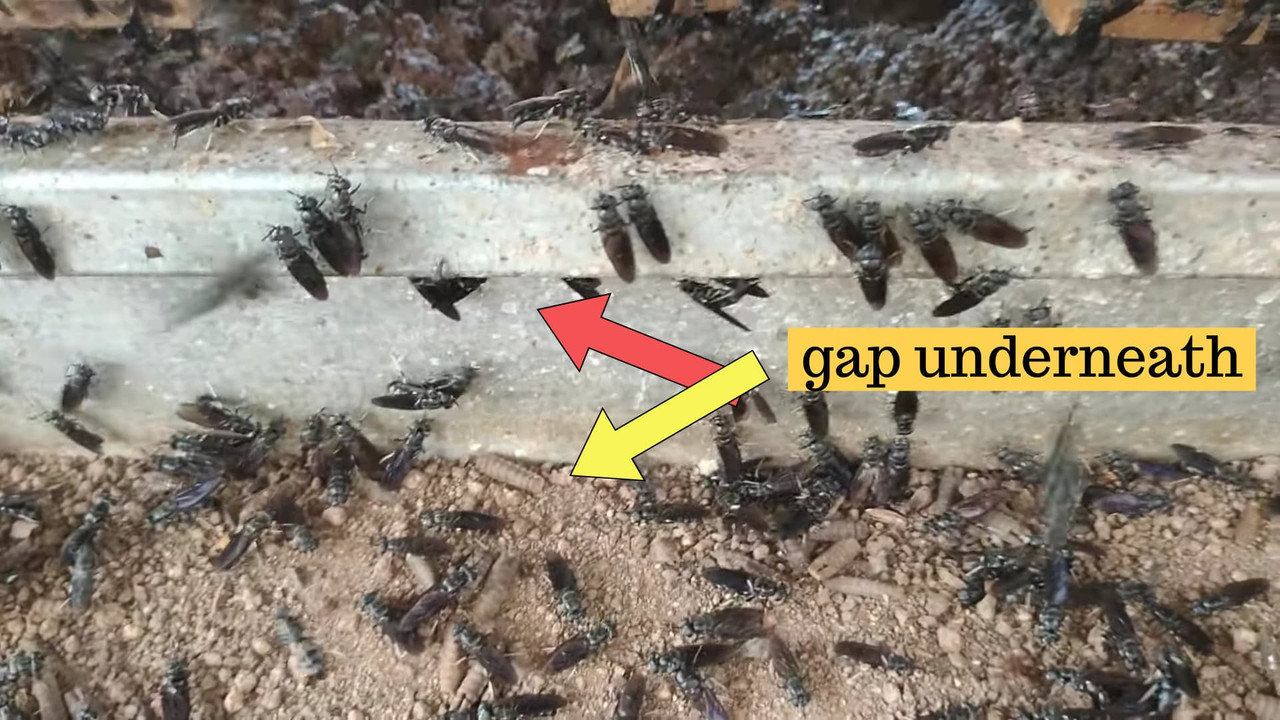 gap-around-attractant-box.jpg