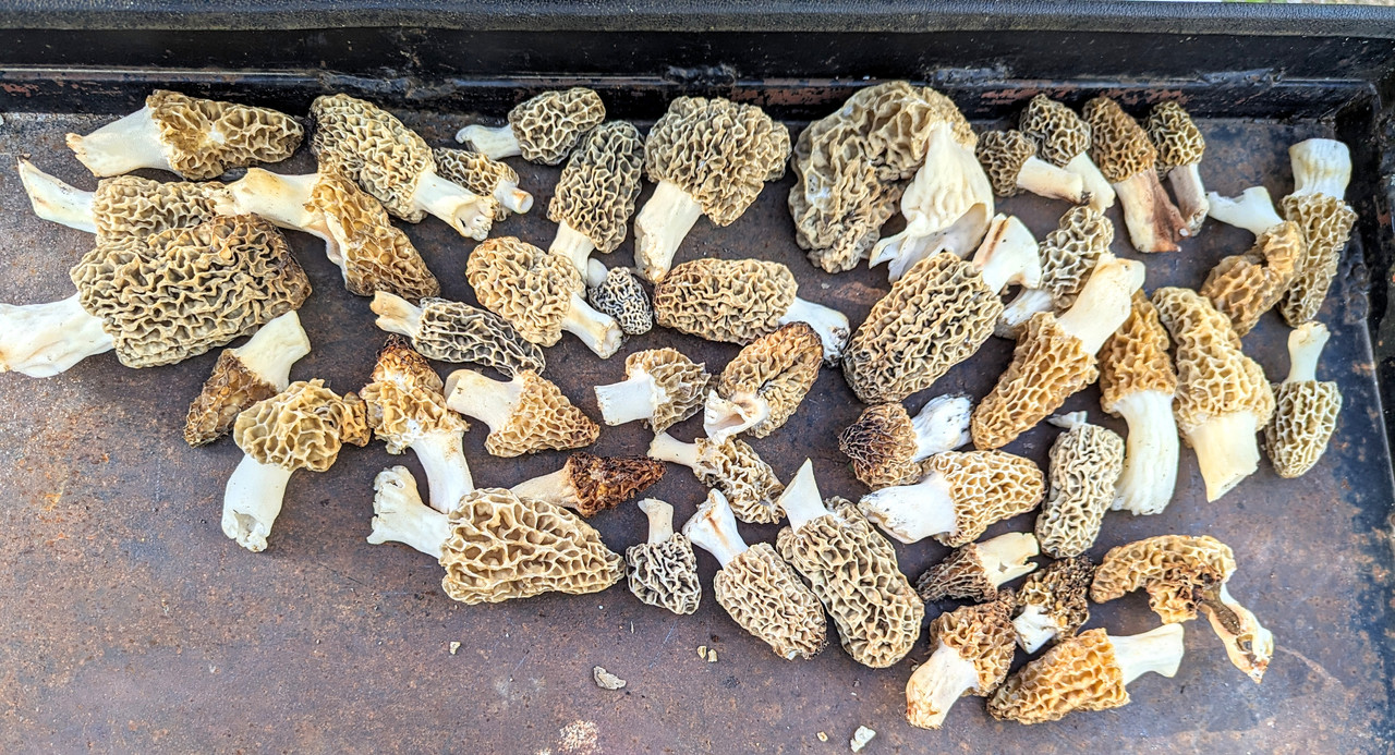 PXL_20240412_230555087~2