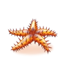 https://i.postimg.cc/ry1Ym3dm/IMG-2038.webp