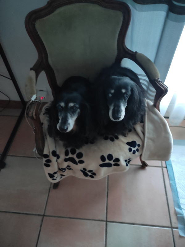 [Image: IMG-20221119-081922.jpg]