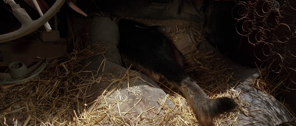 [Image: ca6cg41lo5zm.png]