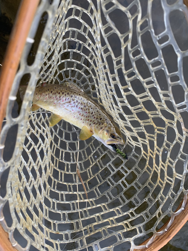 B92FFE24-2438-493B-AC29-F6543A357AEC