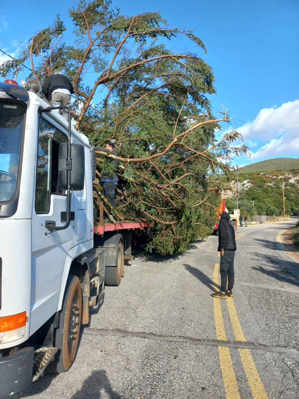 εικόνα_Viber_2024-11-23_14-27-20-488