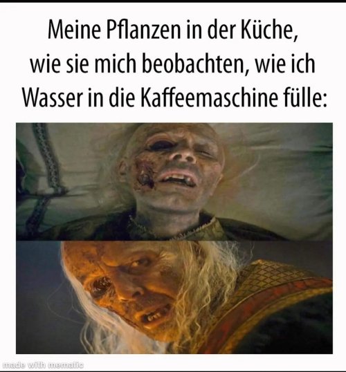 9th.jpg