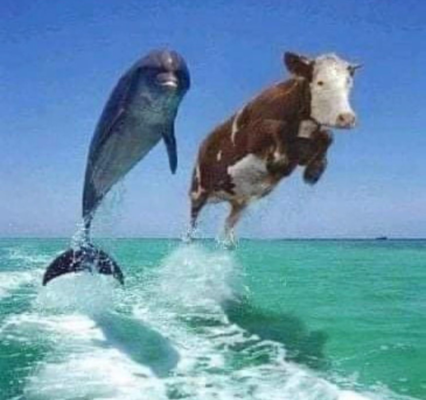 -NVSNO4Yw6LIACxWhTj149YS7F8FVe_tzMDKEUjCkjznIyXRv2iMwhuFXScunJqXPLAGzxzWK63KucAp_RpIsJQj